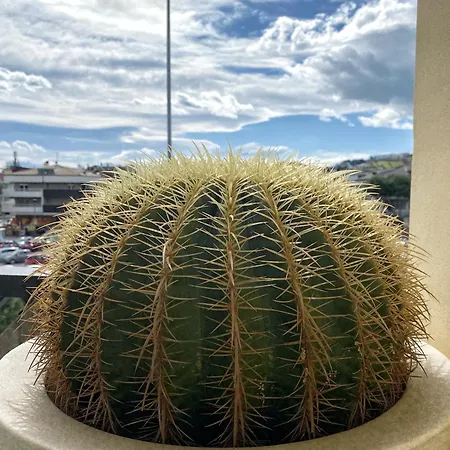 Studio_suite05 Apartament Alba Adriatica